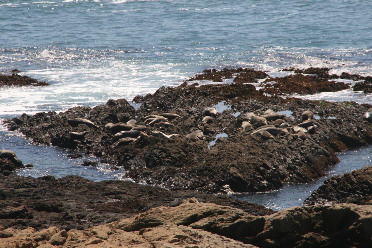 The Oceanfront Inn Shelter Cove Exteriér fotografie